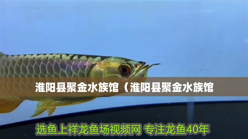 淮陽縣聚金水族館（淮陽縣聚金水族館