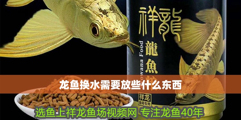 龍魚換水需要放些什么東西