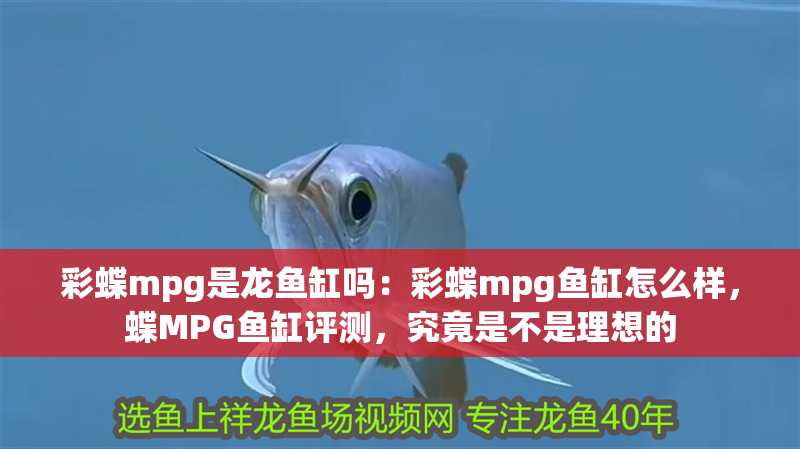 彩蝶mpg是龍魚缸嗎：彩蝶mpg魚缸怎么樣，蝶MPG魚缸評測，究竟是不是理想的