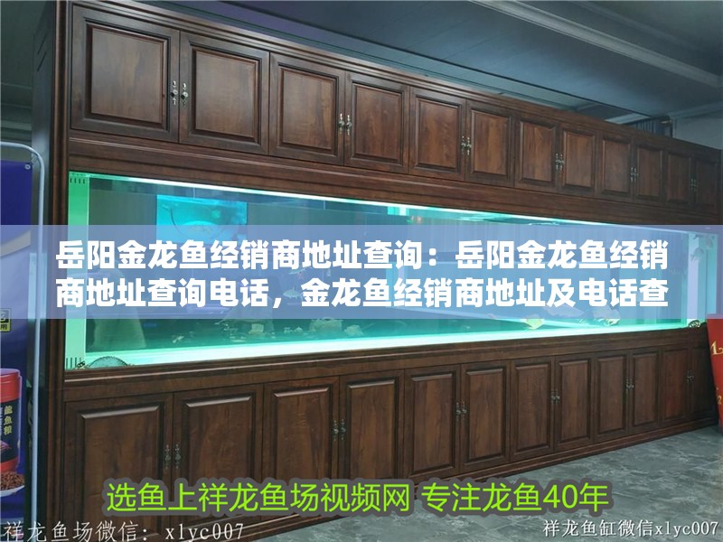 岳陽金龍魚經銷商地址查詢：岳陽金龍魚經銷商地址查詢電話，金龍魚經銷商地址及電話查詢指南