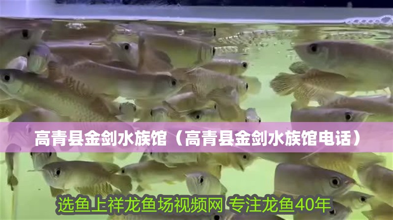 高青縣金劍水族館（高青縣金劍水族館電話）