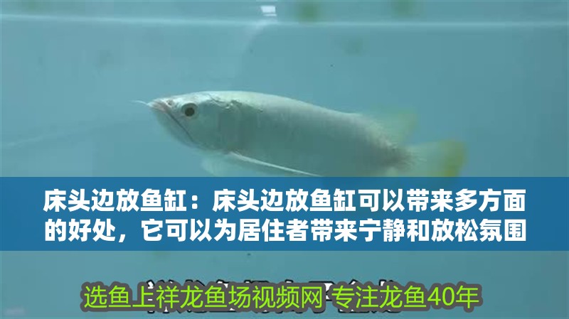 床頭邊放魚(yú)缸：床頭邊放魚(yú)缸可以帶來(lái)多方面的好處，它可以為居住者帶來(lái)寧?kù)o和放松氛圍