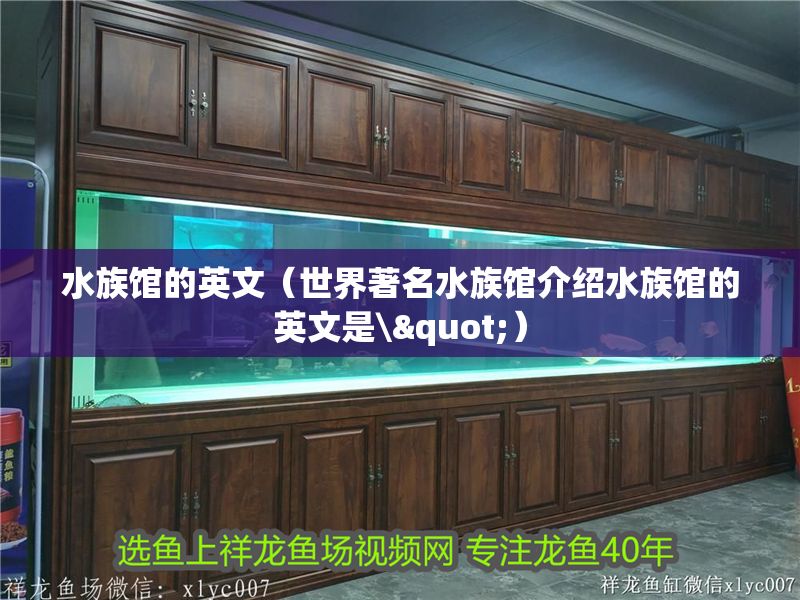 水族館的英文（世界著名水族館介紹水族館的英文是\"）