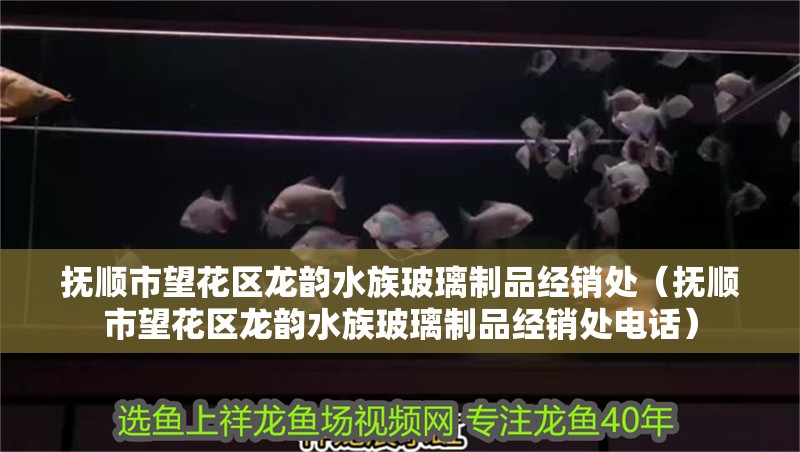 撫順市望花區(qū)龍韻水族玻璃制品經(jīng)銷處（撫順市望花區(qū)龍韻水族玻璃制品經(jīng)銷處電話）