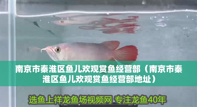 南京市秦淮區魚兒歡觀賞魚經營部（南京市秦淮區魚兒歡觀賞魚經營部地址）