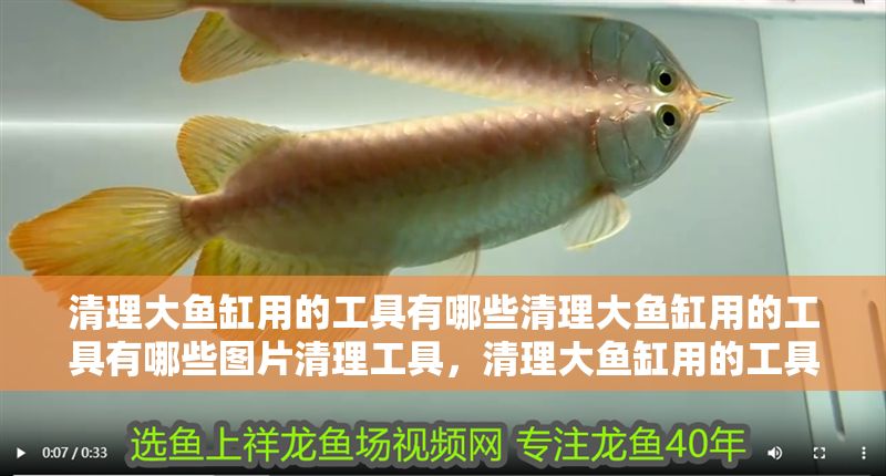 清理大魚缸用的工具有哪些清理大魚缸用的工具有哪些圖片清理工具，清理大魚缸用的工具有哪些