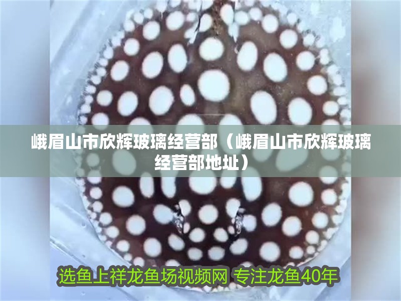 峨眉山市欣輝玻璃經(jīng)營部（峨眉山市欣輝玻璃經(jīng)營部地址） 峨眉山市欣輝玻璃經(jīng)營部（峨眉山市欣輝玻璃經(jīng)營部地址） 全國水族館企業(yè)名錄 第2張