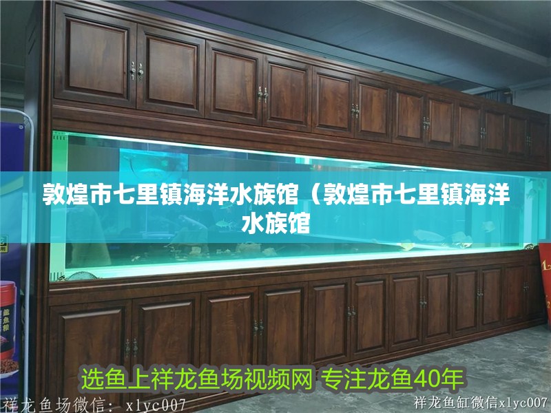 敦煌市七里鎮海洋水族館（敦煌市七里鎮海洋水族館