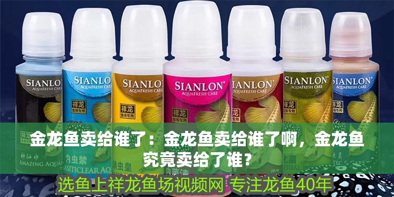 金龍魚賣給誰了：金龍魚賣給誰了啊，金龍魚究竟賣給了誰？