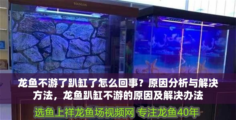 龍魚不游了趴缸了怎么回事？原因分析與解決方法，龍魚趴缸不游的原因及解決辦法