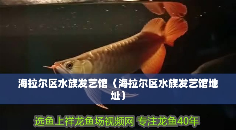 海拉爾區水族發藝館(海拉爾區水族發藝館地址) 全國水族館企業名錄 第2張 海拉爾區水族發藝館(海拉爾區水族發藝館地址) 海拉爾區水族發藝館(海拉爾區水族發藝館地址) 全國水族館企業名錄 第2張