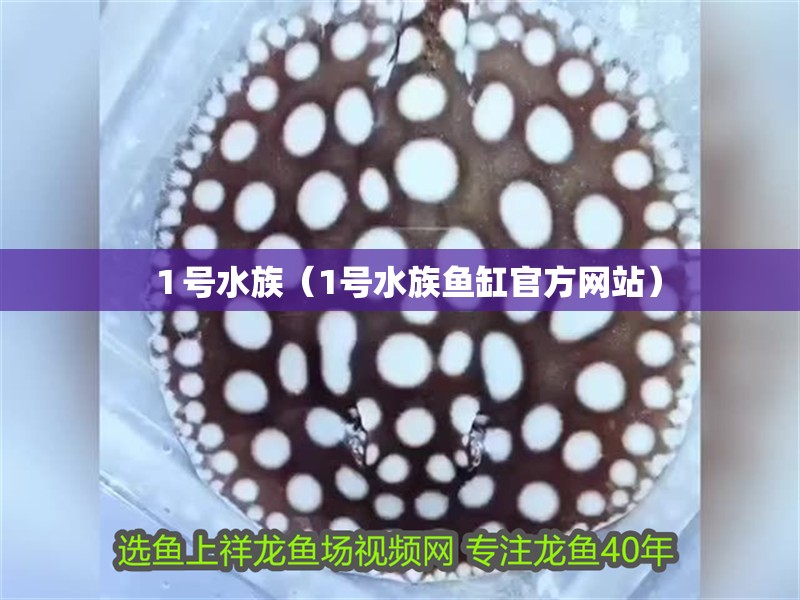 １號水族（1號水族魚缸官方網站）