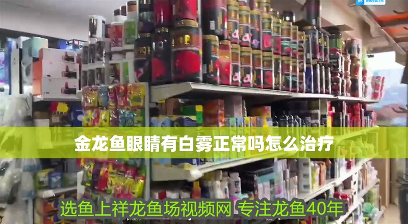 金龍魚眼睛有白霧正常嗎怎么治療