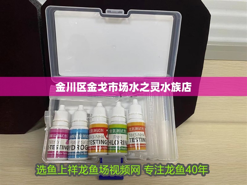 金川區(qū)金戈市場水之靈水族店