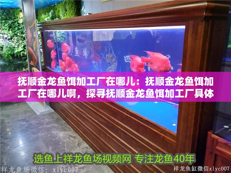 撫順金龍魚餌加工廠在哪兒：撫順金龍魚餌加工廠在哪兒啊，探尋撫順金龍魚餌加工廠具體