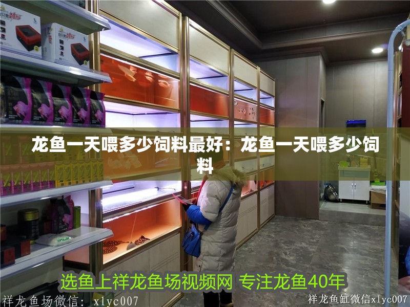 龍魚一天喂多少飼料最好：龍魚一天喂多少飼料