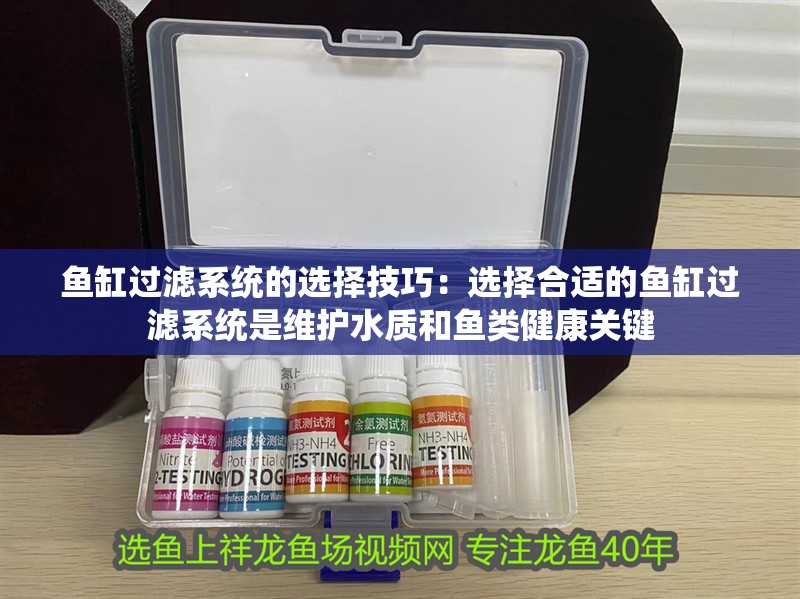 魚缸過濾系統的選擇技巧：選擇合適的魚缸過濾系統是維護水質和魚類健康關鍵