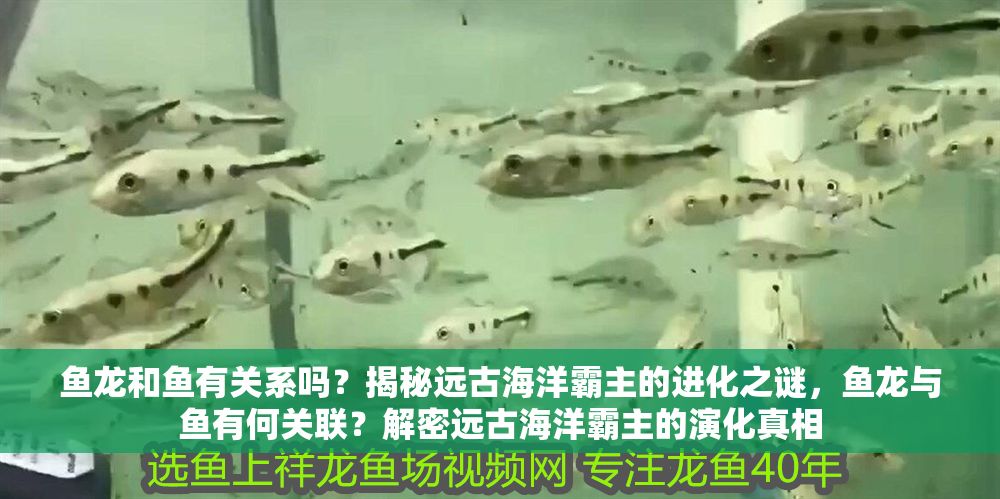魚龍和魚有關系嗎？揭秘遠古海洋霸主的進化之謎，魚龍與魚有何關聯？解密遠古海洋霸主的演化真相