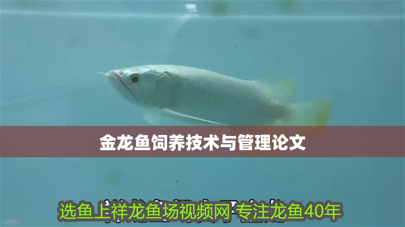 金龍魚飼養(yǎng)技術(shù)與管理論文