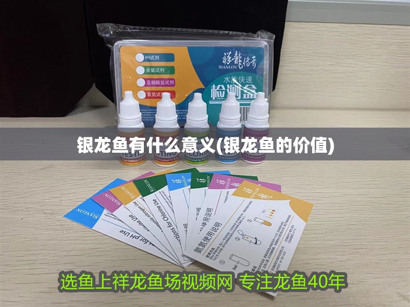 銀龍魚有什么意義(銀龍魚的價值)