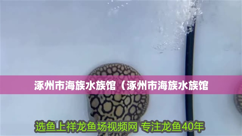 涿州市海族水族館（涿州市海族水族館