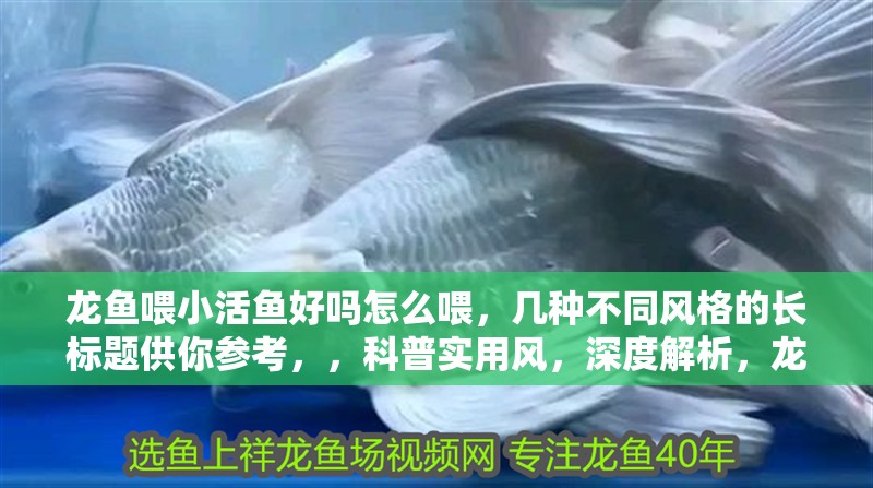 龍魚喂小活魚好嗎怎么喂，幾種不同風格的長標題供你參考，，科普實用風，深度解析，龍魚投喂小活魚究竟好不好？科學喂養方法全攻略，疑問引導風，龍魚能否安心食用小活魚？正確投喂方式大揭秘！，強調重點風，聚焦龍魚飲食，喂小活魚利弊