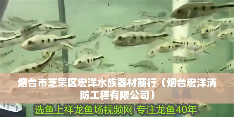 煙臺市芝罘區宏洋水族器材商行（煙臺宏洋消防工程有限公司）