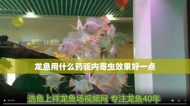 龍魚用什么藥驅內寄蟲效果好一點