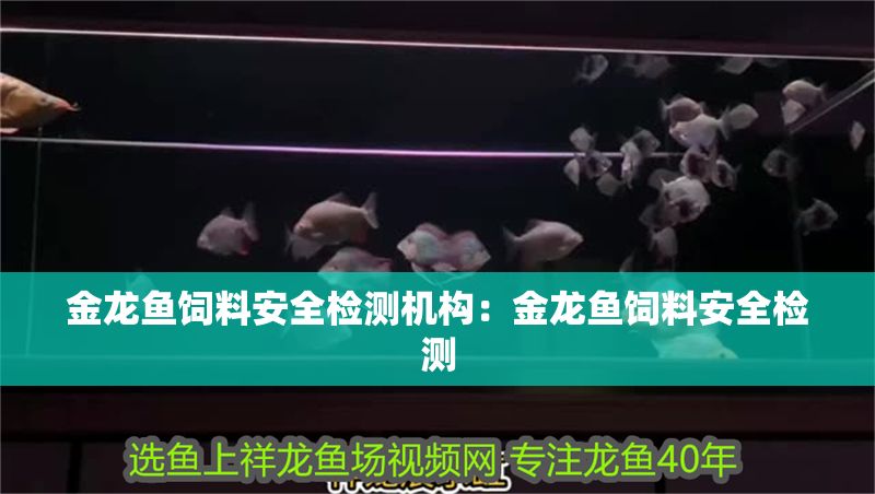 金龍魚飼料安全檢測機構:金龍魚飼料安全檢測 金龍魚百科 第1張 金龍魚飼料安全檢測機構:金龍魚飼料安全檢測 金龍魚飼料安全檢測機構:金龍魚飼料安全檢測 金龍魚百科 第1張