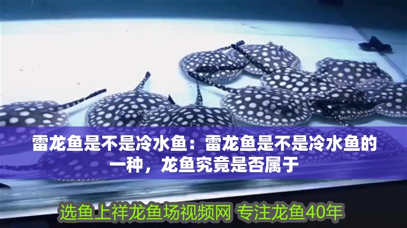 雷龍魚是不是冷水魚:雷龍魚是不是冷水魚的一種,龍魚究竟是否屬于 水族問答 雷龍魚是不是冷水魚:雷龍魚是不是冷水魚的一種,龍魚究竟是否屬于 雷龍魚是不是冷水魚:雷龍魚是不是冷水魚的一種,龍魚究竟是否屬于 水族問答