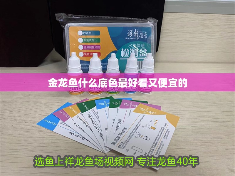 金龍魚什么底色最好看又便宜的