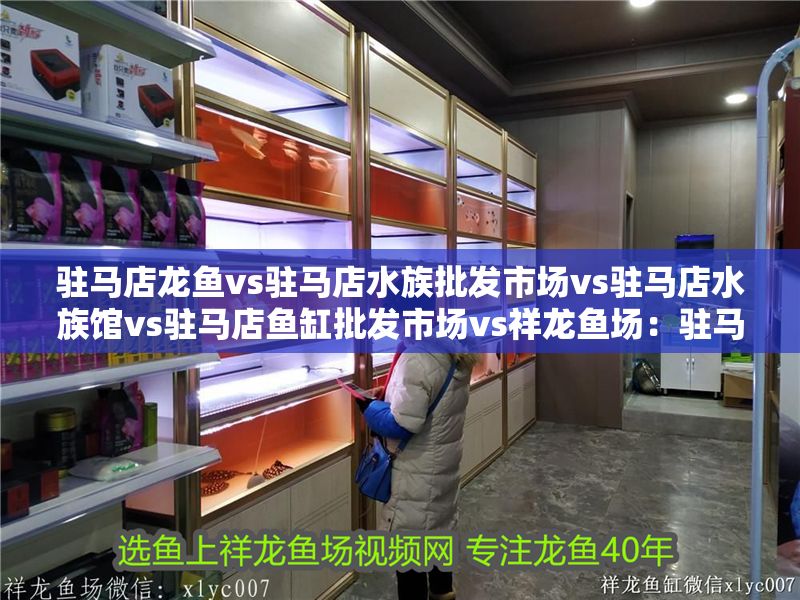 駐馬店龍魚vs駐馬店水族批發市場vs駐馬店水族館vs駐馬店魚缸批發市場vs祥龍魚場：駐馬店地區龍魚養殖、交易及水族相關市場的發展情況