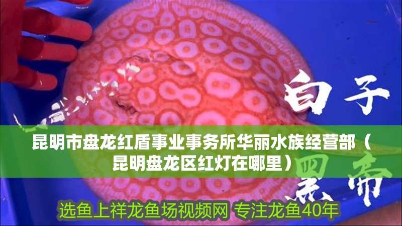 昆明市盤龍紅盾事業(yè)事務所華麗水族經(jīng)營部（昆明盤龍區(qū)紅燈在哪里）