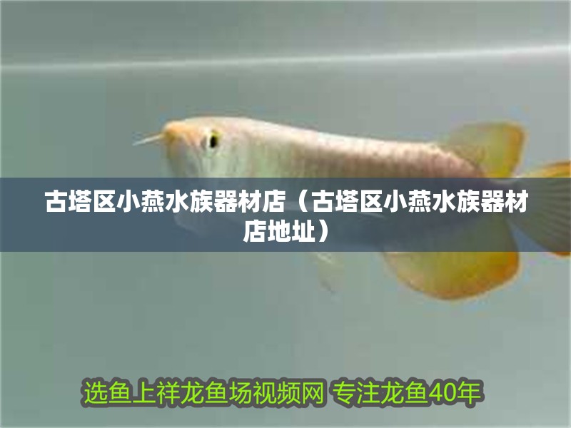 古塔區(qū)小燕水族器材店（古塔區(qū)小燕水族器材店地址）