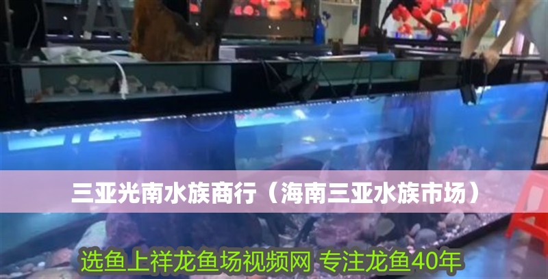 三亞光南水族商行（海南三亞水族市場(chǎng)）