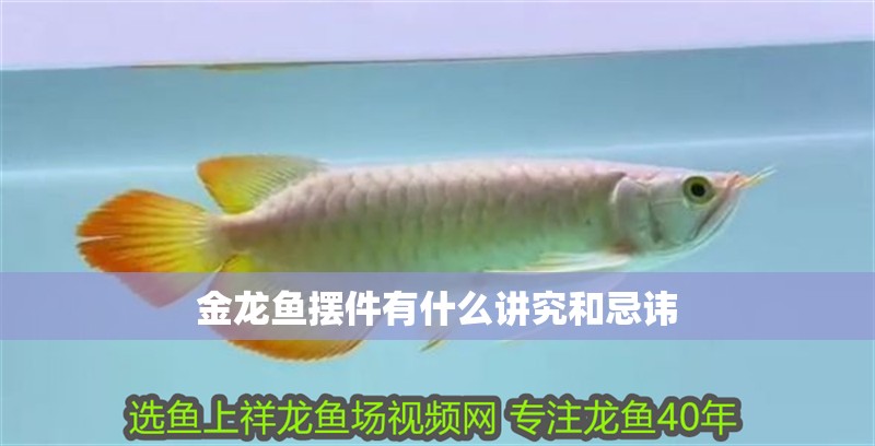 金龍魚擺件有什么講究和忌諱