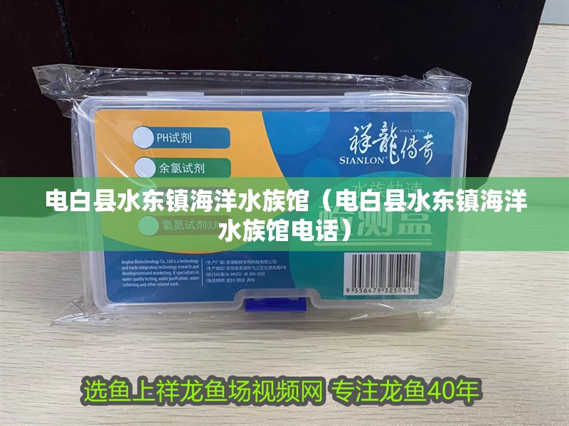 電白縣水東鎮海洋水族館(電白縣水東鎮海洋水族館電話) 全國水族館企業名錄 第2張 電白縣水東鎮海洋水族館(電白縣水東鎮海洋水族館電話) 電白縣水東鎮海洋水族館(電白縣水東鎮海洋水族館電話) 全國水族館企業名錄 第2張