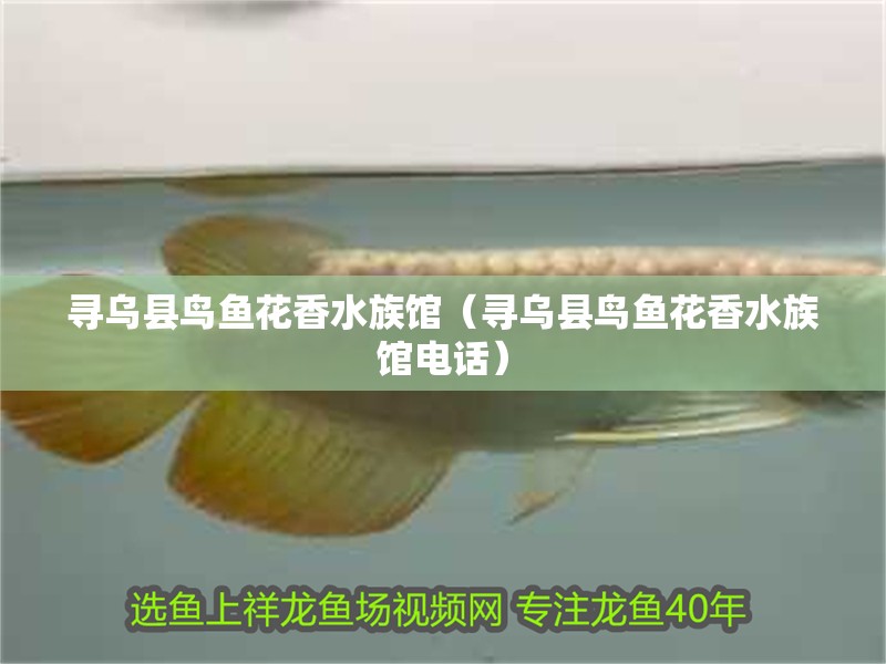 尋烏縣鳥魚花香水族館（尋烏縣鳥魚花香水族館電話）