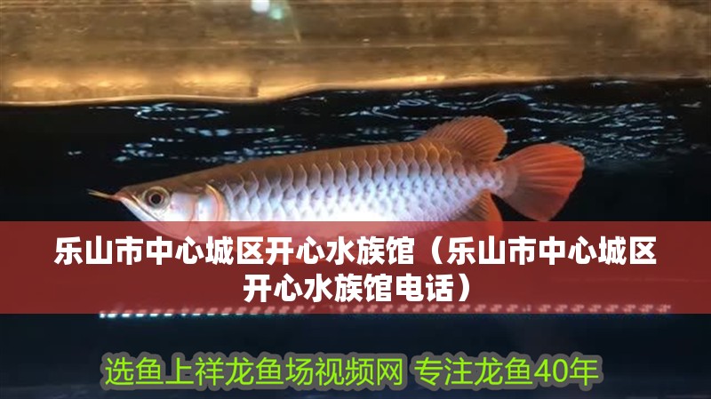 樂山市中心城區(qū)開心水族館（樂山市中心城區(qū)開心水族館電話）