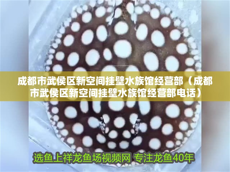 成都市武侯區新空間掛壁水族館經營部（成都市武侯區新空間掛壁水族館經營部電話）