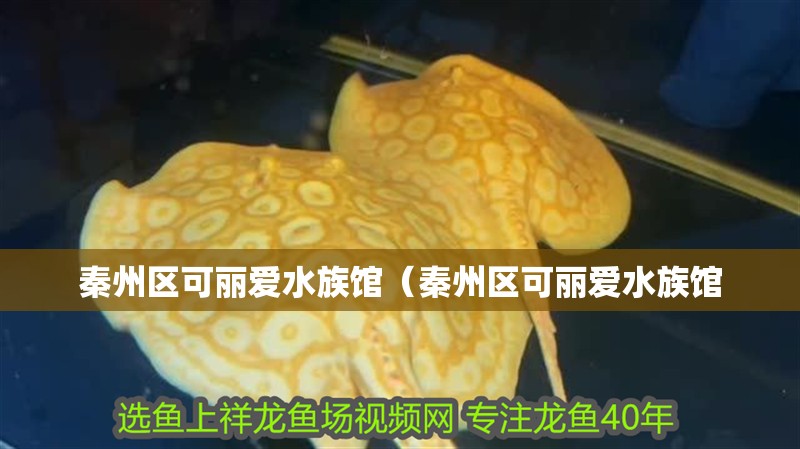 秦州區(qū)可麗愛(ài)水族館（秦州區(qū)可麗愛(ài)水族館