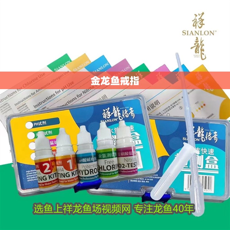 金龍魚(yú)戒指