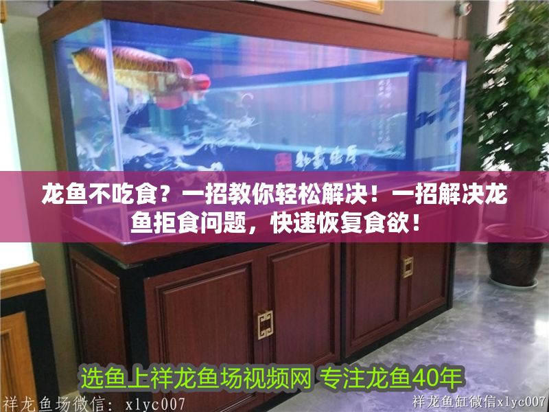 龍魚(yú)不吃食？一招教你輕松解決！一招解決龍魚(yú)拒食問(wèn)題，快速恢復(fù)食欲！