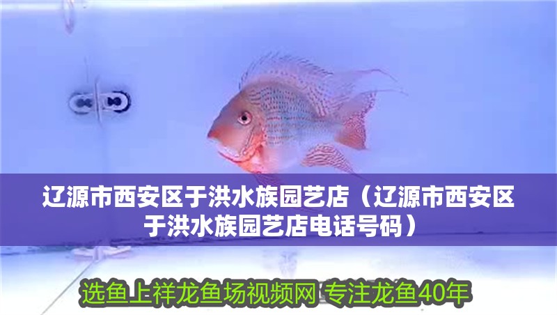 遼源市西安區于洪水族園藝店（遼源市西安區于洪水族園藝店電話號碼）