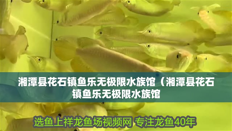 湘潭縣花石鎮魚樂無極限水族館（湘潭縣花石鎮魚樂無極限水族館