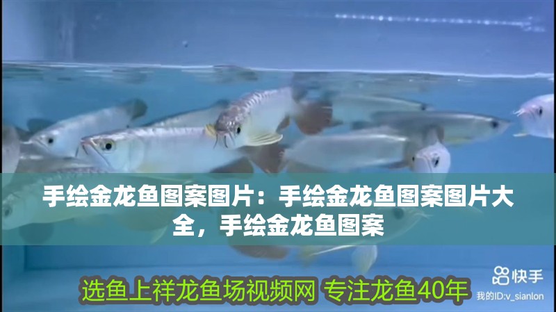 手繪金龍魚圖案圖片：手繪金龍魚圖案圖片大全，手繪金龍魚圖案