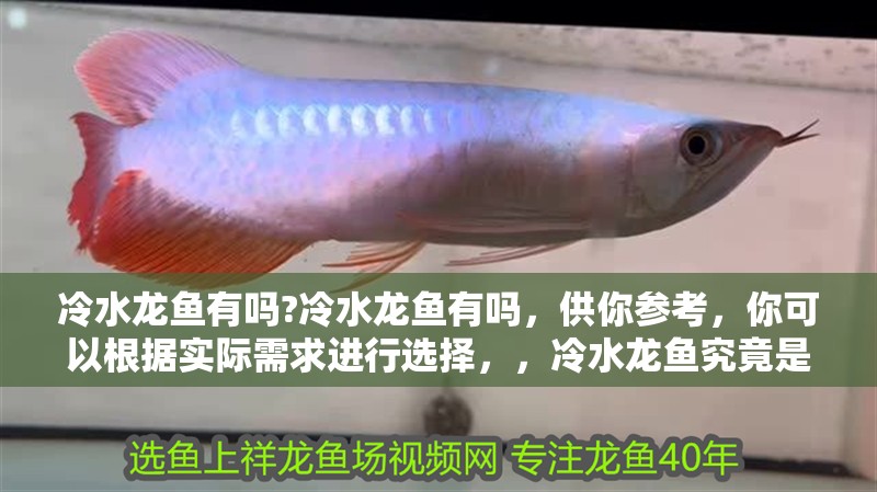 冷水龍魚有嗎?冷水龍魚有嗎，供你參考，你可以根據實際需求進行選擇，，冷水龍魚究竟是否存在？，探尋真相，冷水龍魚有沒有？，疑問聚焦，冷水龍魚到底有沒有？