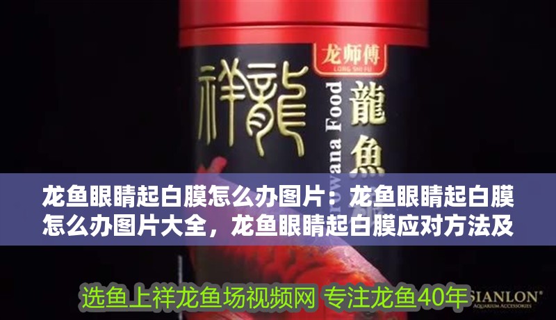 龍魚眼睛起白膜怎么辦圖片：龍魚眼睛起白膜怎么辦圖片大全，龍魚眼睛起白膜應對方法及