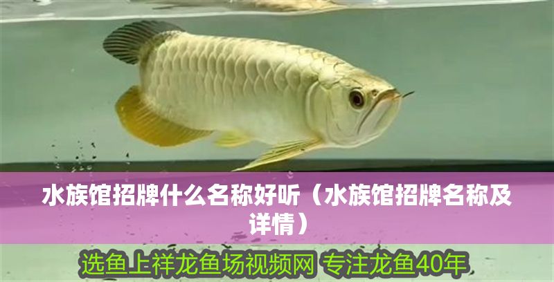 水族館招牌什么名稱好聽（水族館招牌名稱及詳情）