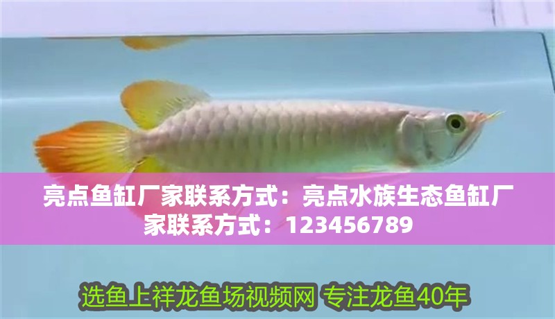 亮點魚缸廠家聯(lián)系方式：亮點水族生態(tài)魚缸廠家聯(lián)系方式：123456789